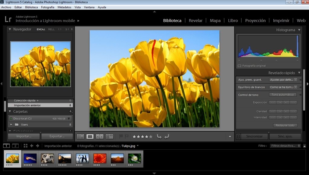 Adobe Photoshop Lightroom 2025